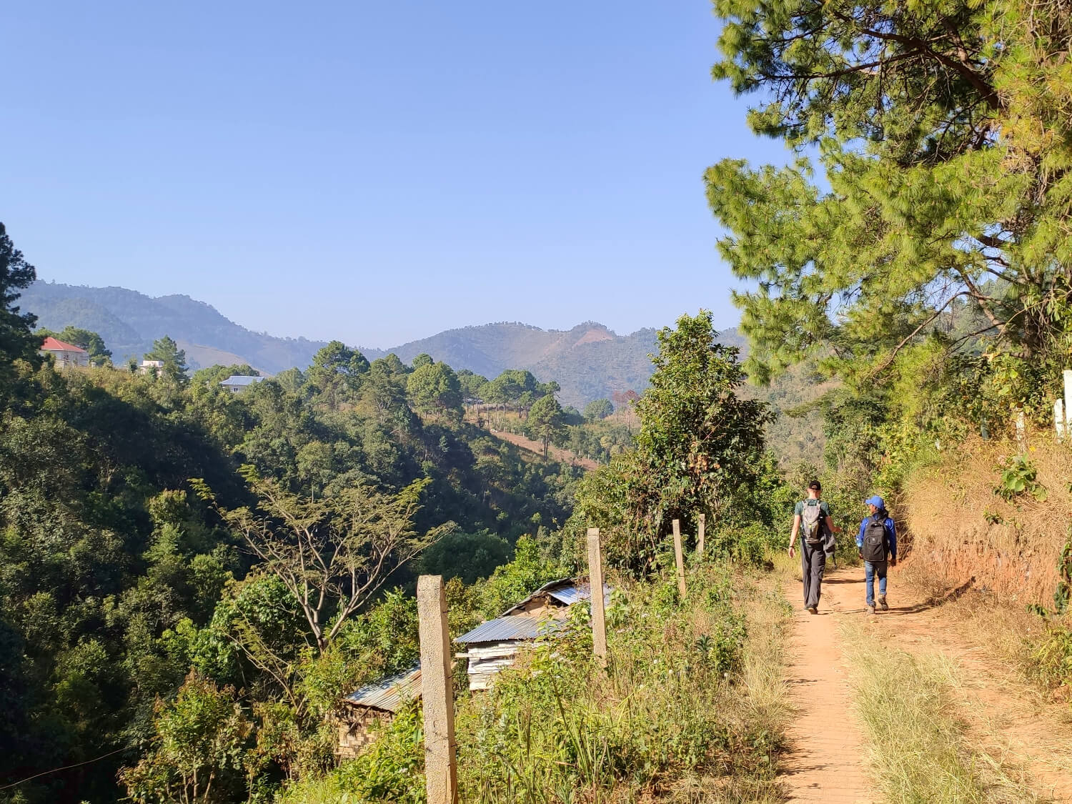 You are currently viewing Trekking w Birmie, czyli zwiedzanie Kalaw z przewodnikiem